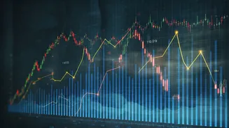 Equity Fund Categories for Your Investment Portfolio