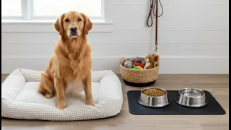 Pet Parents Need Less Spoiling, More Balance