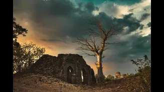 Indore experiences warmer days and cosy nights as monsoon nears withdrawal