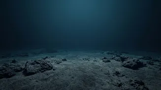 What Researchers Are Learning About Warming Beneath The Ocean
