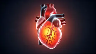 Obesity: Beyond the Scale - Prioritizing Metabolic Health for a Healthier Future