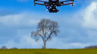 AI Crop Disease Scanners: Low-Cost Smartphone Sensors Save Harvests In Maharashtra Today