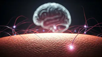 The Brain-Skin Connection: How Stress Directly Fuels Eczema Flare-Ups Unveiled