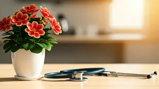 Rekindle 'Bachpana': A National Drive for Joyful, Dignified Aging with Proactive Health