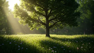 Understanding Mental Well-being: A Practical Guide