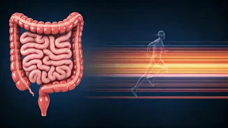 Extreme Running & Colon Health: A New Study Sparks Debate Among Marathoners