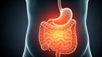 Tummy Troubles on the Rise: Unpacking the Surge in Bloating & Acidity