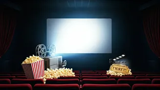 Allu Arjun's Buzz: Films, Reviews & Box Office