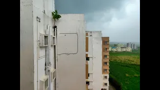 How to Prevent and Treat Mould Growth on Walls in India