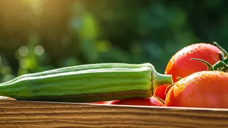 Okra And Tomatoes Are Perfect Beginner Crops