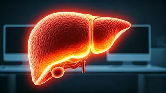 The Silent Epidemic: Fatty Liver on the Rise Among Young Indians – Is Your Desk Job to Blame?