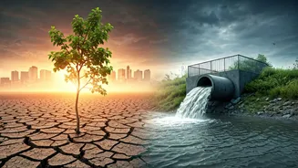 Delhi-NCR Needs A Smarter Weather Buffer