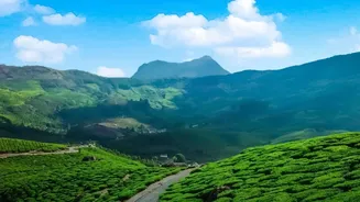 Offbeat Chikmagalur Driving Routes: Lush Green Trails And Cosy Plantation Lodges