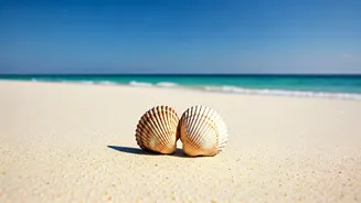 7 Dreamy Honeymoon Destinations in India (November 2025)
