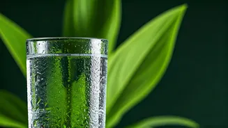 Unlock Weight Loss: The Surprising Power of Water for Appetite, Metabolism, and Exercise