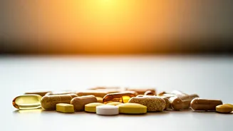 Top 10 Vitamin D Choices for Stronger Bones