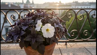 A Fragrant Balcony Can Begin With One Herb And One Seasonal Bloom