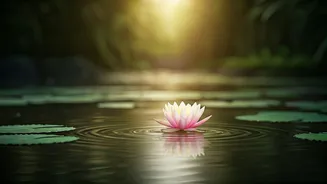 Somy Ali: Unlocking True Happiness Beyond Success Through Inner Peace