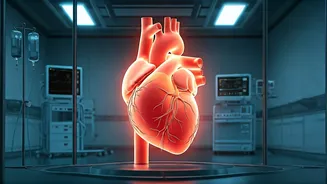 Marathon Mastery: Protecting Your Heart & Energy