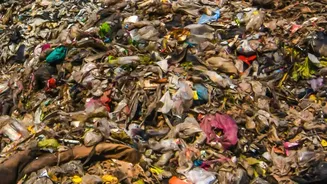 How To Reduce Food Waste Caused By Monsoon Humidity