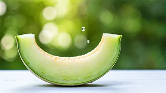 Muskmelon Magic: How 90% Water Content in Kharbuja Can Boost Your Metabolism for Weight Loss