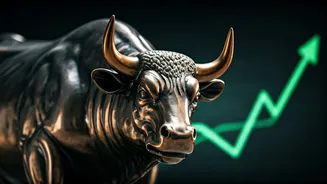 Sensex & Nifty: Bull Run Continues, Key Levels to Watch