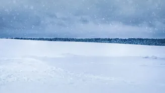 Why A New Antarctica Study And East Antarctica's Snowfall Are Both In Focus