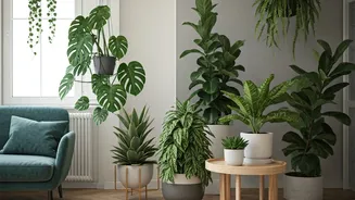 Plants Are The No-Drama Decor Hero Again