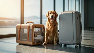 Pet Travel Is Getting Proper Mainstream Energy