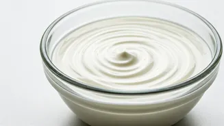 Yogurt's Journey: From Chance Find to Staple