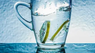 Electrolytes vs Plain Water: Proper Hydration Habits For Muggy Indian Post-Monsoon Seasons