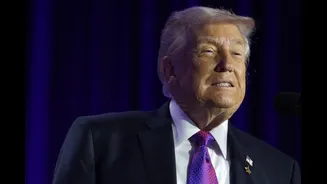 Related Stories banner