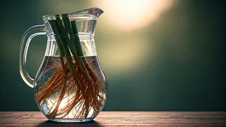 Infuse Regular Drinking Water With Vetiver Roots For Cooling