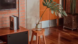 Organic Décor Elements Add Character To Small Urban Homes