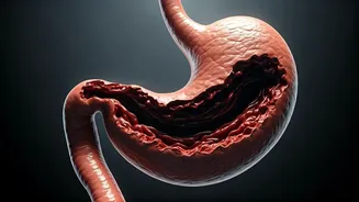 The Dangers of Extreme Eating Challenges: A Focus