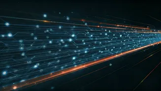 Boosting Business: How Indian Techies Find Success