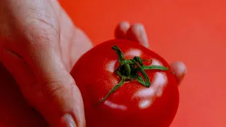 Under Real Conditions, Mental Health and Nutrition Can Interact without One Always Causing the Other