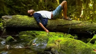 How Indoor Mindful Movement Compares To Wild Nature Immersion For Lowering Mental Exhaustion