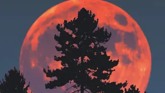 Why The 2026 Hunter's Moon Rises Close To Equinox Dates Enhancing Evening Light Rays