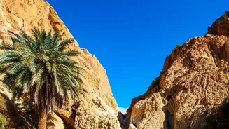 Why Budget-Minded Backpackers Recommend Muscat And Wadi Shab For Easy Gulf Getaways Today