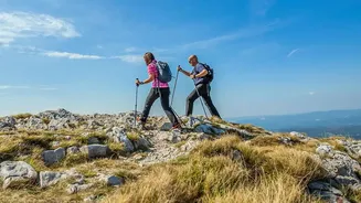 Nordic Walking's Everyday Fitness Shift Puts Correct Pole Use In Focus