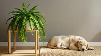 Ferns And Fresh Air Are Pet-Parent Goals
