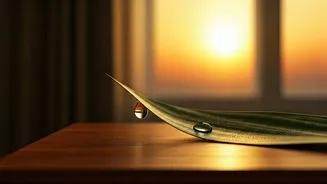 Unlock Your Day: 7 Powerful 5 AM Affirmations for a Purposeful Morning