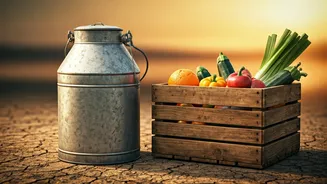 Outdoor Workers Know Hydration And Food Better