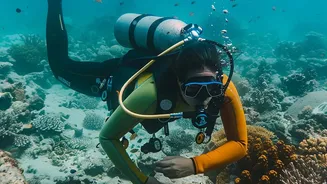 Top things to do in Andaman this autumn: Scuba diving, coral reef exploration, and sunset walks