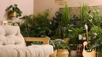 Nature-Inspired Interiors Are Becoming A Favourite For Urban Homes