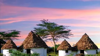 Moremi Safari Lodges Sit Inside One of Botswana's Most Varied Ecosystems