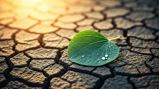 Beat the Heat: Expert Strategies for Staying Safe During India's Sweltering Heatwaves