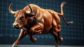 Indian markets rally as Sensex jumps and Nifty crosses 24,150