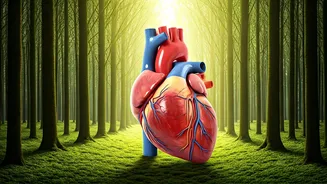 Longevity Tips: Boosting Lifespan & Wellbeing